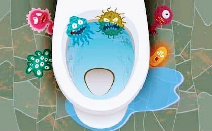 toilet infections