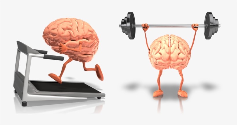 exercise and brain