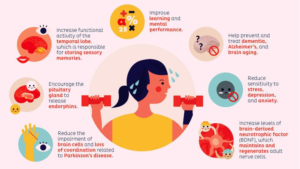 infographics on effects of exercise on the brain