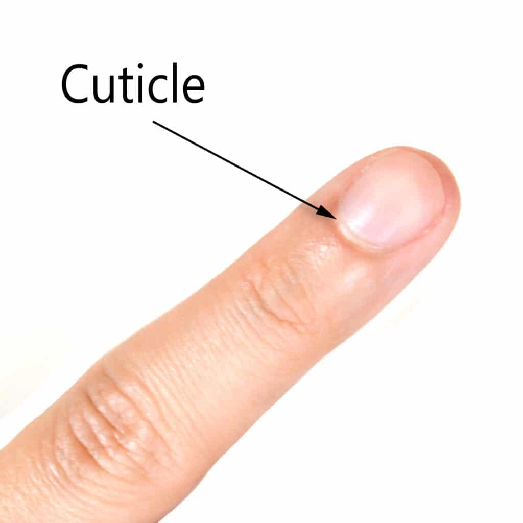 remove cuticles so your nail will not grow crooked