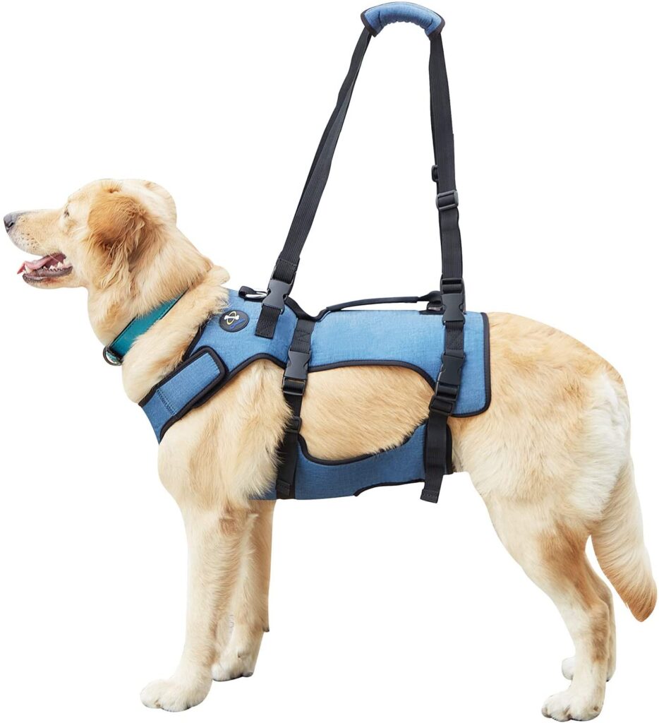 Coodeo Dog Lift Harness