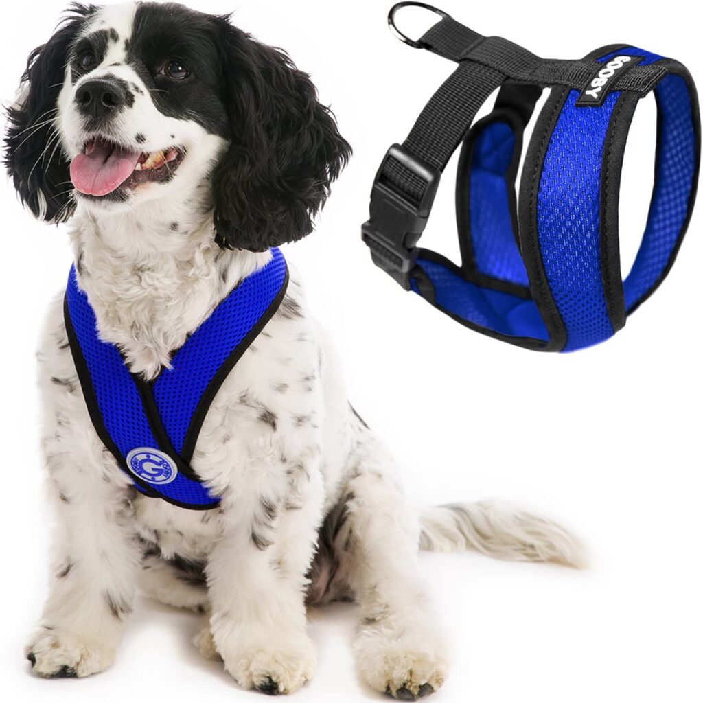 Best Choke Free Harness for Small Dogs: Reviews, Comparison, and Top Picks 1