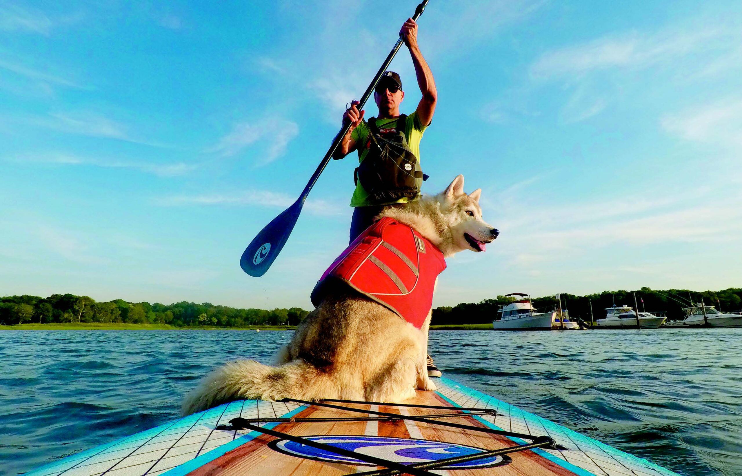 Best Dog Breeds For Kayaking