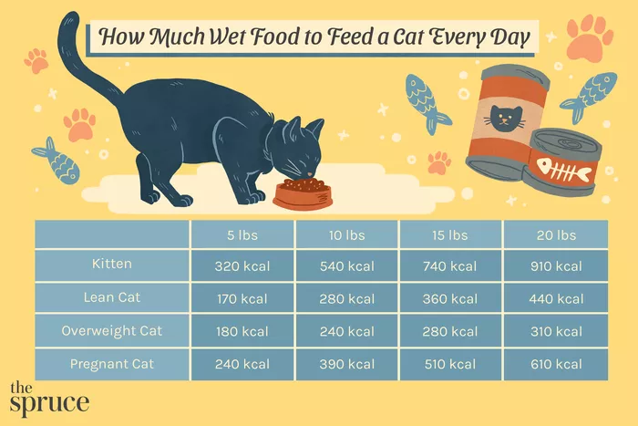 How Much Wet Food Does Your Cat Need?