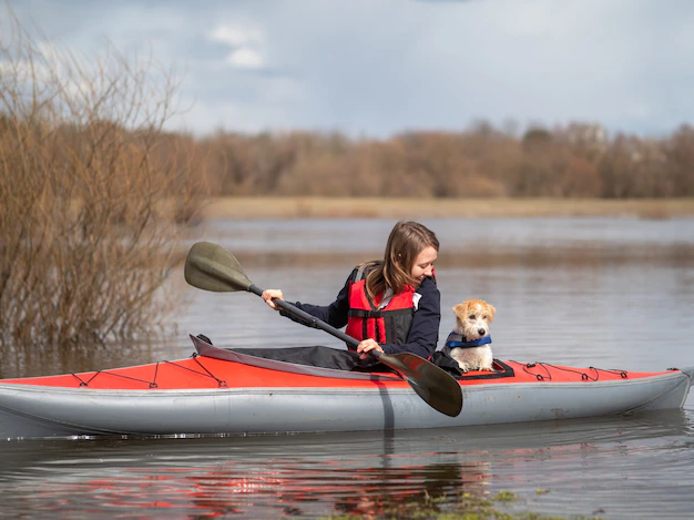 Jack Russell Terrier kayaking with its owner