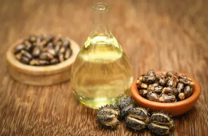 Composition and properties of castor oil