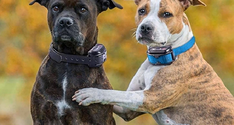 Ultimate Guide for High-Tech Dog Collars